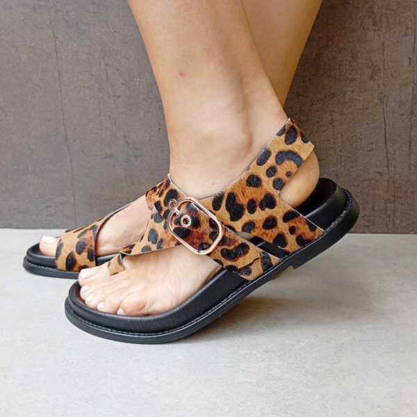 Carlota leopardo - Imagen 2