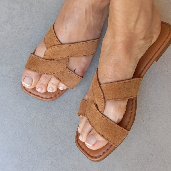 Berta camel