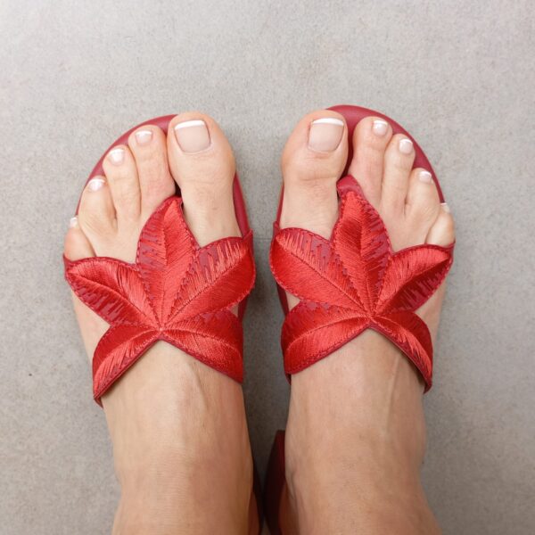 Benjamina rojo - Imagen 2