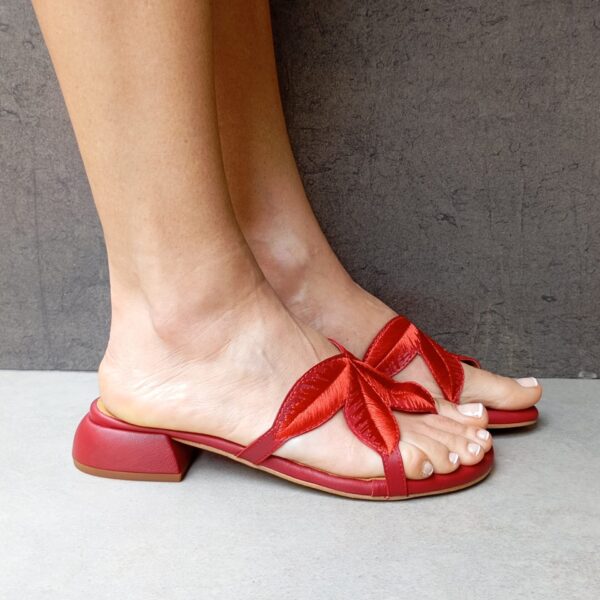 Benjamina rojo